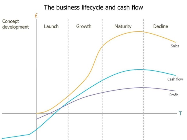 Business lifecycle and cash flow