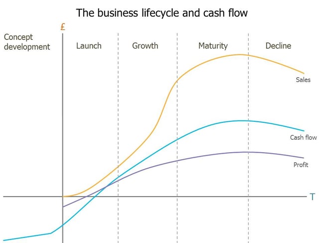 Business lifecycle and cash flow