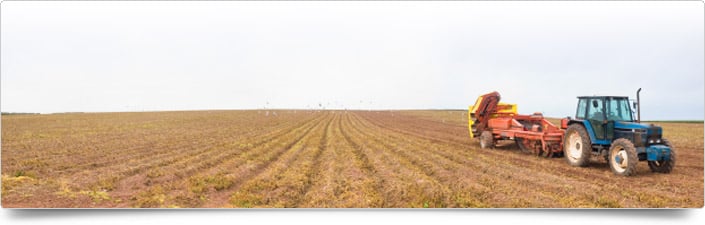 AGRICULTURE AGRICULTURE
