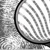 Forensic accounting & litigation